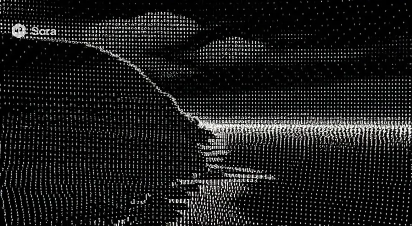 beautiful earth landscapes fast cuts

the entire video is against a black background and everything is made from monochrome letters a-z