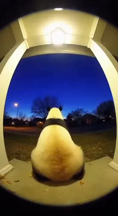 Change to a panda