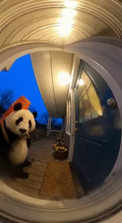 "My doorbell cam caught an... express delivery today." 🐼💨