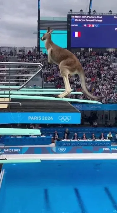 🦘