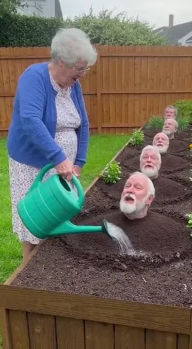 How does that garden grow?