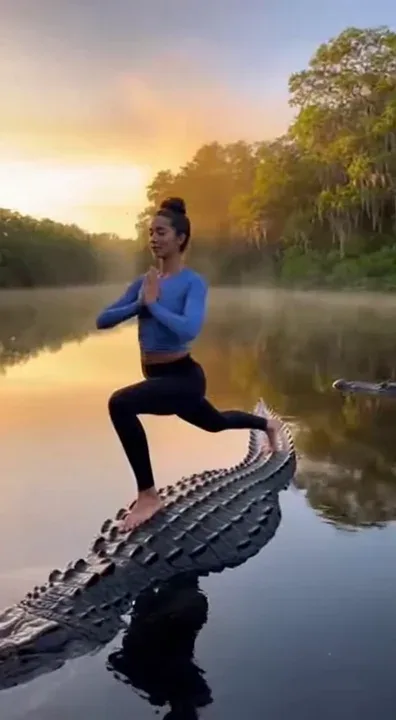 People doing yoga on top of real life alligators in the water