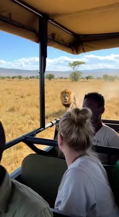 Change it to @snoopdogg under the mask of the lion