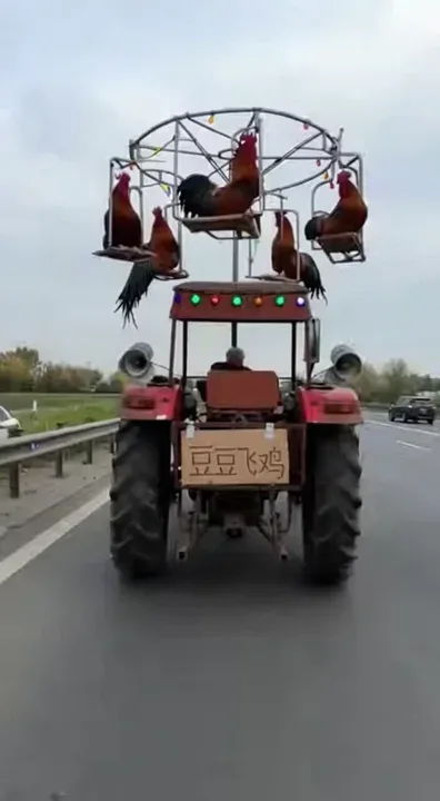 牌子上写中文：豆豆飞鸡