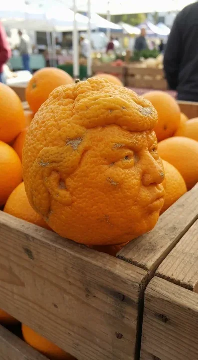 Orange Man Vs Sleepy Potato