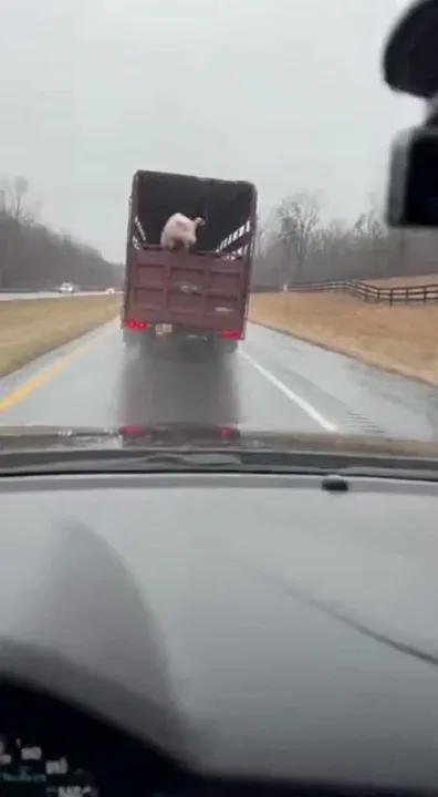 😳😮‍💨🍖